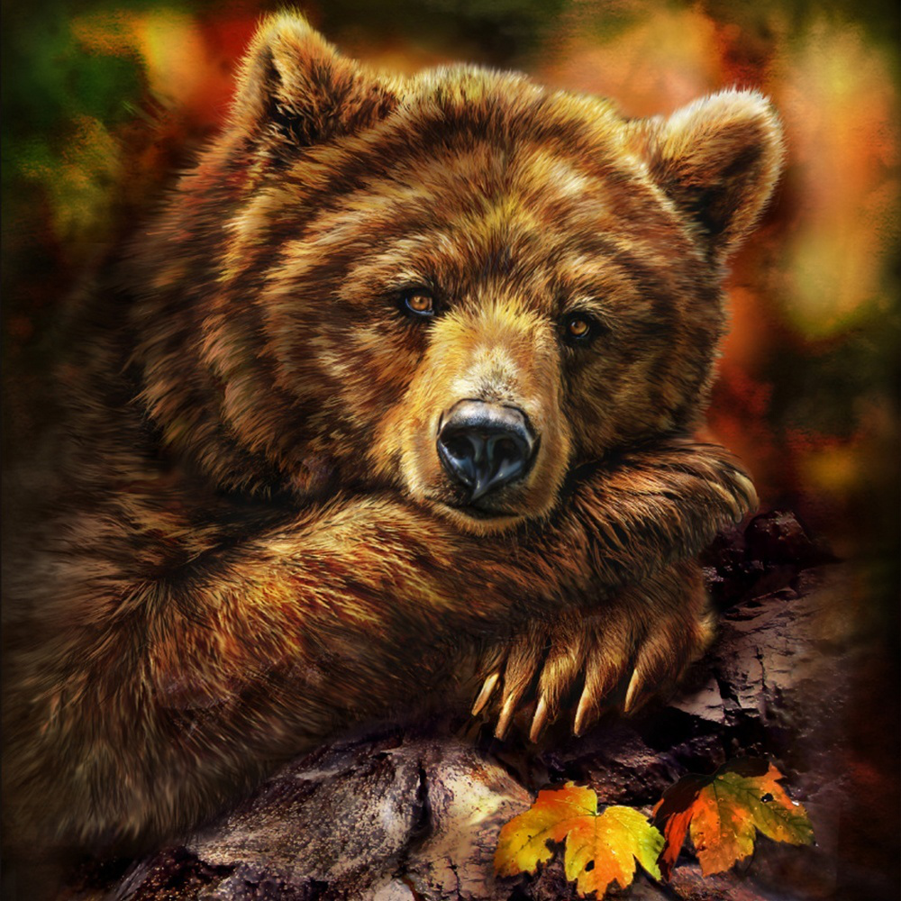 Brown bear | Full Round Diamond Painting Kits