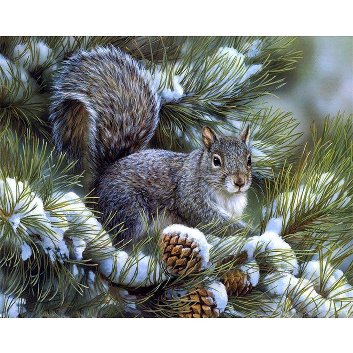squirrel  | Full Round Diamond Painting Kits
