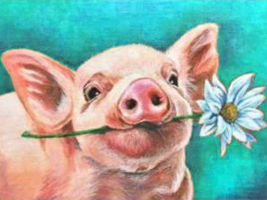 Pig | Full Round Diamond Painting Kits