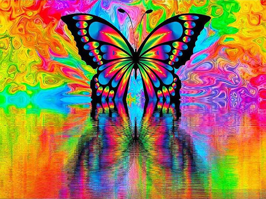 Colorful butterfly | Full Round Diamond Painting Kits