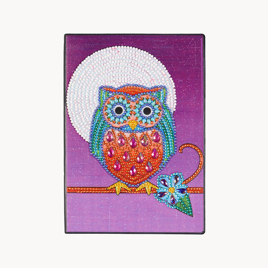 A5 5D Notebook DIY Partie Forme Spéciale Strass Journal Journal | Hibou