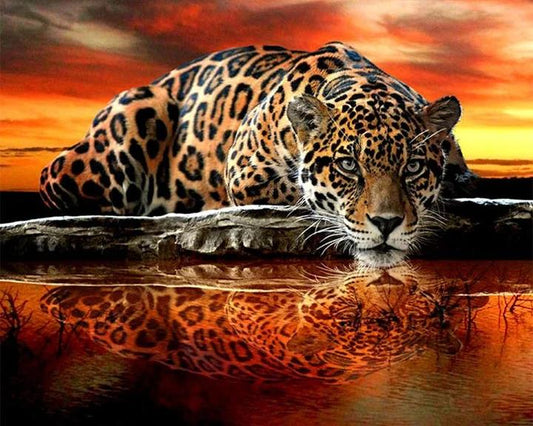 Full Round/Square Diamond Painting Kits | Leopard