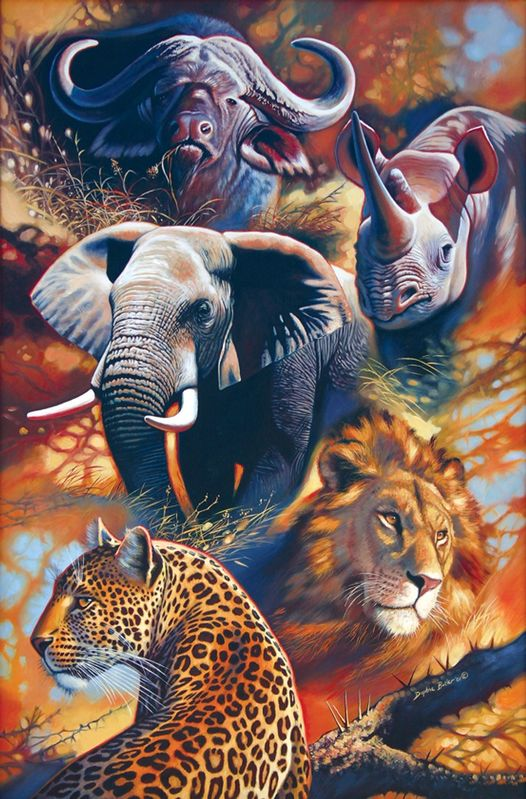 Diamond Painting  |  South African Wildlife Collection