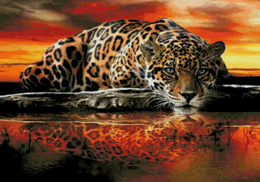 Full Round/Square Diamond Painting Kits | Leopard