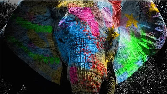 Vollständige Runde/Quadratische Diamond Painting Kits | Elefant