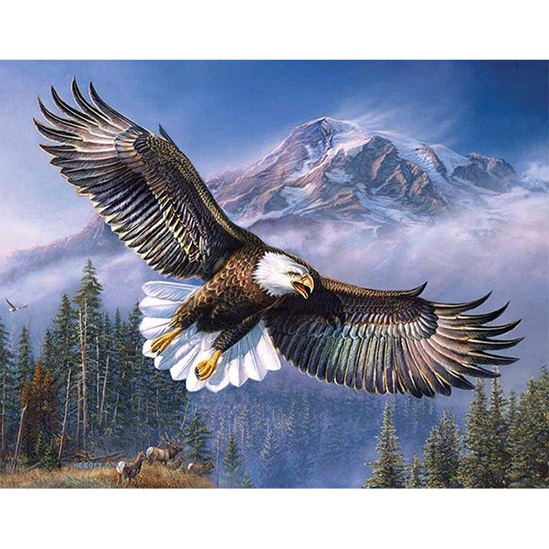 Flying Eagle  | Full Round Diamond Painting Kits