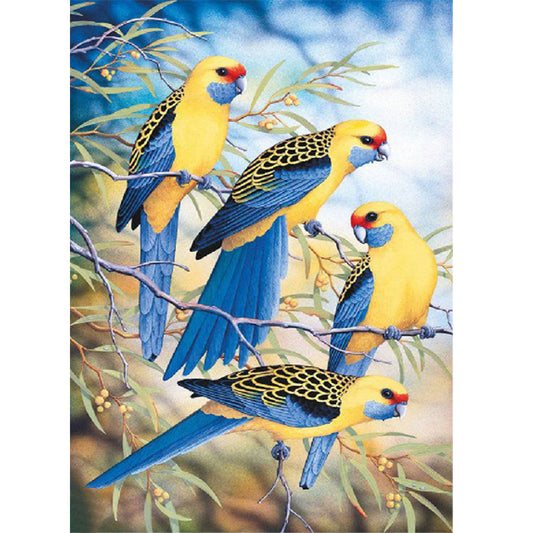 Bird  | Full Round Diamond Painting Kits