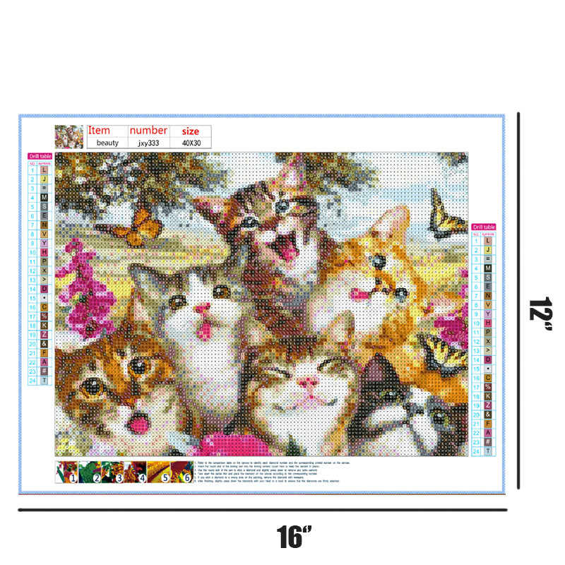 Six Cute Cats  | Full Round Diamond Painting Kits