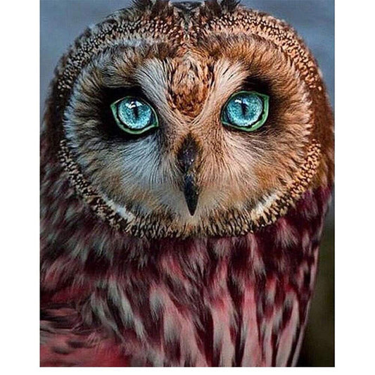 Owl  | Full Round Diamond Painting Kits