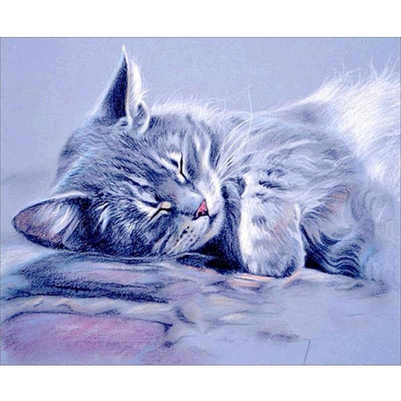 Sleeping Cat | Full Round Diamond Painting Kits