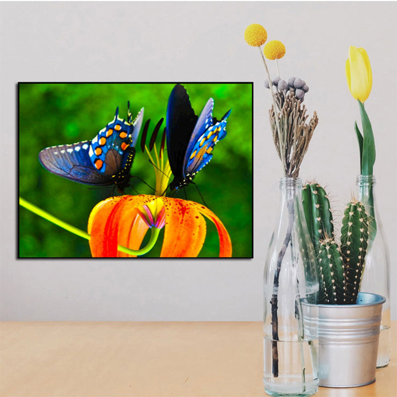 Butterfly  | Full Round Diamond Painting Kits