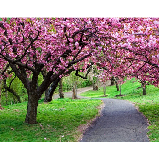 Pink Tree And Footpath | Full Round Diamond Painting Kits