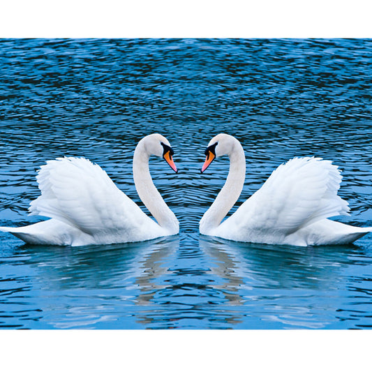 Cygne blanc romantique | Kits complets de peinture au diamant rond