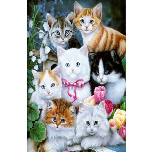 Cats  | Full Round Diamond Painting Kits